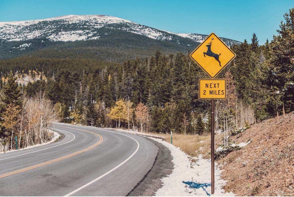 Dangerous Deer Collisions Become a CDL Accident Defense Matter for Truck Drivers CDL Accident Defense